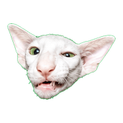 004