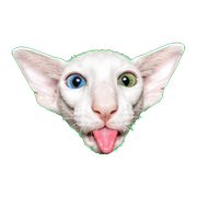 005