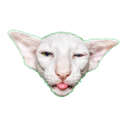 011