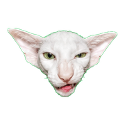 013