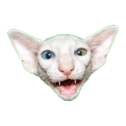 015